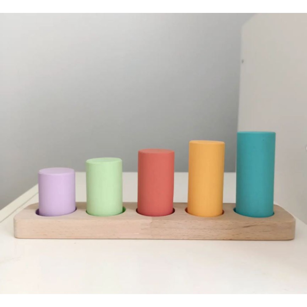 Montessori Toddler Silindir Renk Eşleştirme Oyunu